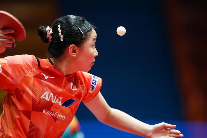 也提高了体 也提高了体