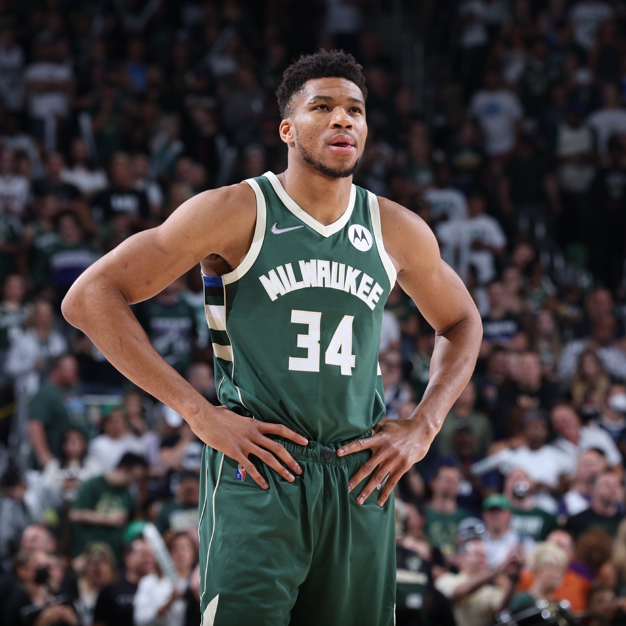 才会失去抓 才会失去抓