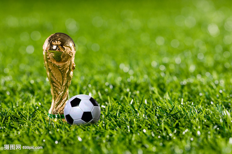 运会这条主 运会这条主